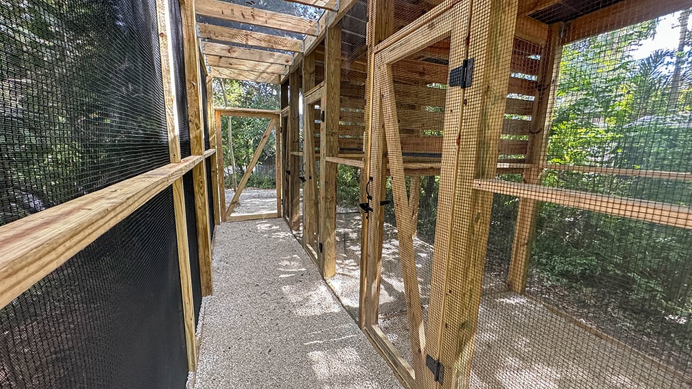 VS-Photograph_20231113_RR_SouthFloridaWildlifeCenter_NM_002_©GGC copy